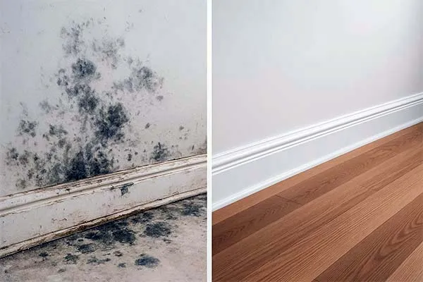 Before and after mold remediation Phoenix Arizona - professional safe mold removal results showing complete elimination and prevention